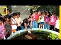 Understanding Environmental Education Concepts