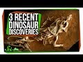 Dinosaur Discoveries and Theories