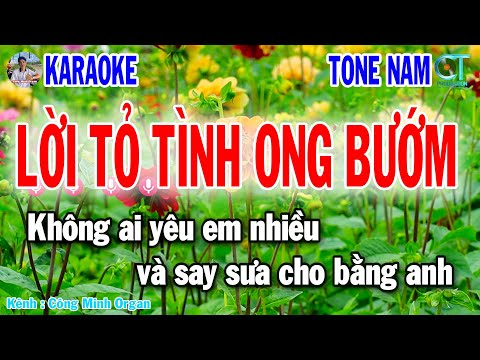 Karaoke Lời Tỏ Tình Ong Bướm Tone Nam