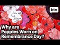 Remembrance Day and the Story of the Poppy