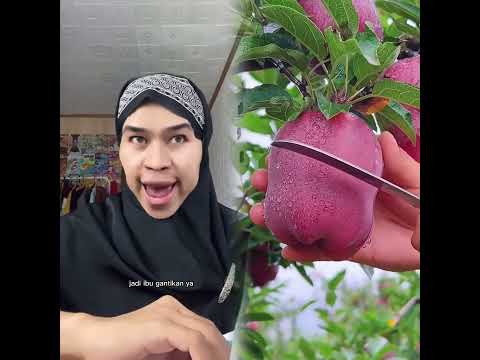 Part2:Biasanya pertemuan pertama atau guru baru || #AlwanRK #damaisekali