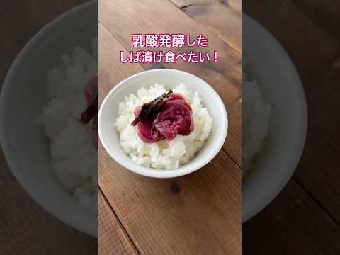 乳酸発酵のしば漬け食べたい!