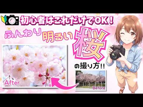 【テキスト無料配布中!】初心者でも桜写真が激変!ふんわり明るい一枚を撮る設定レシピ!
