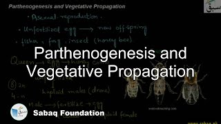 Parthenogenesis, Vegetative Propagation