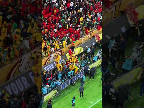CRAZY IN THE STANDS SENEGAL FANS 🔥 #afcon2025 #afcon