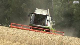 Dreschfieber 2026 mit Claas Lexion 750 TT - Lohnunternehmen Gürtler beim Weizen dreschen