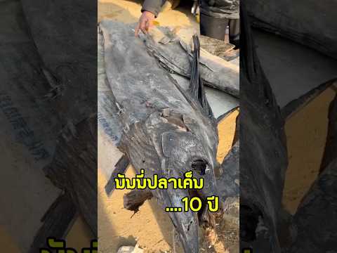 หมักมานานถึง 10 ปี!! ของดีที่พิสูจน์ได้ในคำเดียว😅😅#videoviral #อร่อย #ปลาเค็ม