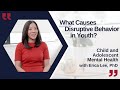 Understanding Disruptive Behavior in Children