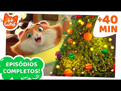 44 Gatos  60 MINUTOS de episódios completos! 