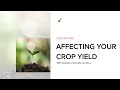 Soil Health and Nutrient Management
