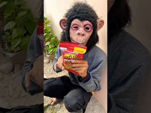 Monyet dan labubu di kasih jajan #shortsvideo