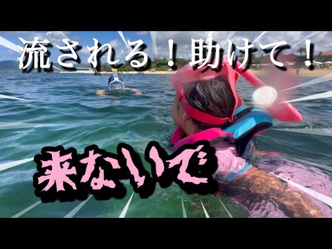 【6泊沖縄旅行⑧】海で流されるママを子供達が救出！？石垣島、最後の晩餐は郷土料理屋さんで石垣牛三昧！！【山海亭】