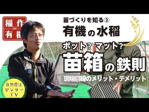 ポット苗 or 箱苗?? 違いはココ、育苗箱の基本!! メリット知ってイケてるイネの苗づくり 目指せ育苗で高品質『有機の米づくり』 【稲作有機 by 自然農法センター】