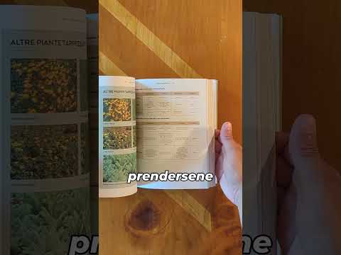 Francesco Fedelfio, "Giardini sostenibili"