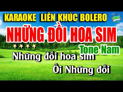 Karaoke Liên Khúc Trữ Tình Tone Nam Dễ Hát | Nhạc Xưa Bolero Hải Ngoại – NHỮNG ĐỒI HOA SIM