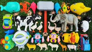 Menemukan hewan sapi, bebek, angsa, kuda, ayam, kambing, zebra, gajah, singa, jerapah, lumba lumba.