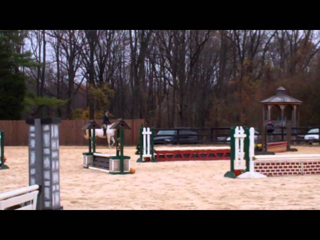 Joel Brandis' Win in Walk Trot - 11/16/13