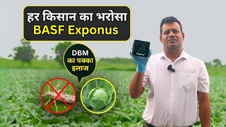सिर्फ 2 स्प्रे Exponus के – DBM और Spodoptera का पूरा सफाया #mykisandost @BASF_Agro_IN