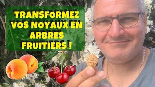 Transformez vos noyaux en arbres fruitiers ! 🍎🍋🥑