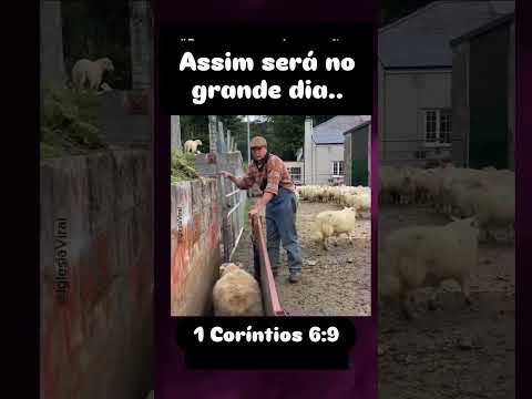 Se ajeite! Oxi, naquele grande dia, não haverá outra oportunidade. #deus #fé #noticias #inspirador