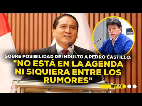 Ministro de Trabajo descarta que esté en agenda un indulto para Pedro Castillo