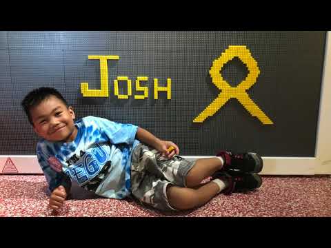 Joshua's Make A Wish Trip