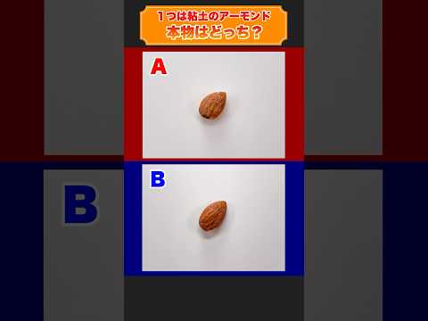 Which one is real? One is a clay almond.