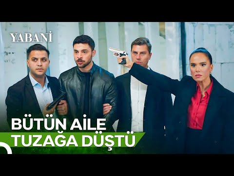 Yaman'ın Hayatı Güven ve Neslihan'ın Elinde | Yabani 45. Bölüm