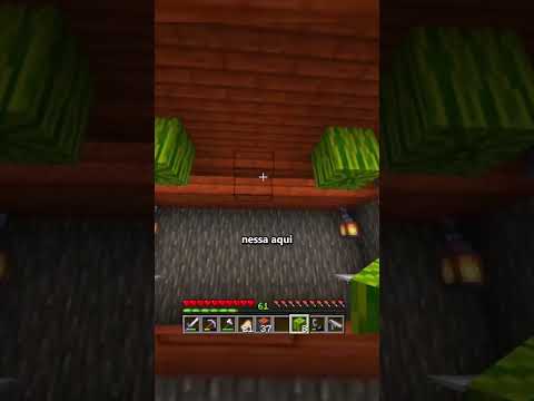 melancia amassando o gato