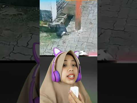 KAKI KAMBING INI DITARIK OLEH SOSOK TAK KASAT MATA | Cerita Elpida #shortvideo #viralvideo #shorts q