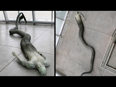 Most Terrifying Monsters Found In Deep Sea
