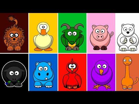 Canción de los colores de La Granja de Zenón | Aprende los Colores con ANIMALES SALVAJES