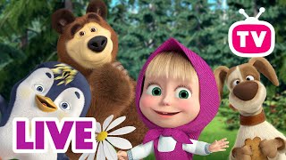 🔴 EN VIVO Masha y el Oso 🤪 ¡Mega colección! 🤩 Los mejores episodios 🤩🍓 Masha and the Bear