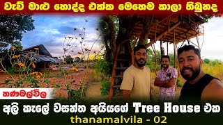 අලි කැලේ වසන්ත අයියගේ tree house එක 🐘🌽 | වැව් මාළු හොද්ද එක්ක මෙහෙත් මරු 🐠🐡 | @IslandFishing2