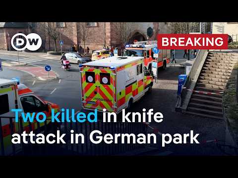 Germany: Two people killed in public park in central city of Aschaffenburg | DW News