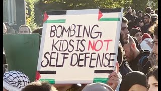 Vor Ort - Einblick in eine Pro-Palästina-Demo: Was steckt dahinter?