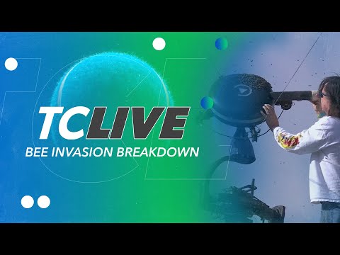 Bee Invasion Breakdown | Tennis Channel Live