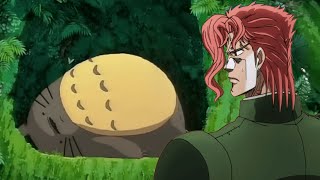 トトロを見つけた花京院【ジョジョMAD】