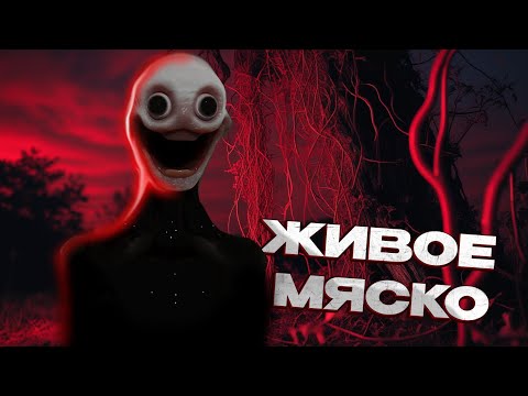 ЖИВОЕ МЯСКО ХОЧЕТ ТЕБЯ (обзор Vita Carnis)