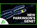 Understanding Parkinson's Disease and Hurricane Trends
