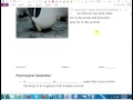 Animal Adaptations and Behaviors