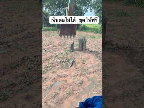 เจอตอ ขุดให้ฟรีตลอด #หนุ่มน้อยเมืองสุรินทร์ #automobile #xcavator #excavator