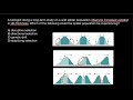 Selection Types and Genetic Variation