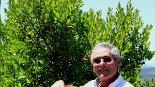 Medronho entrevista a José Simões e João Gama