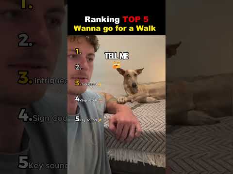 TOP 5 Wanna Go For a Walk Moments ๐ญ๐ญ