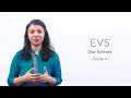 Understanding Human Senses and Safety