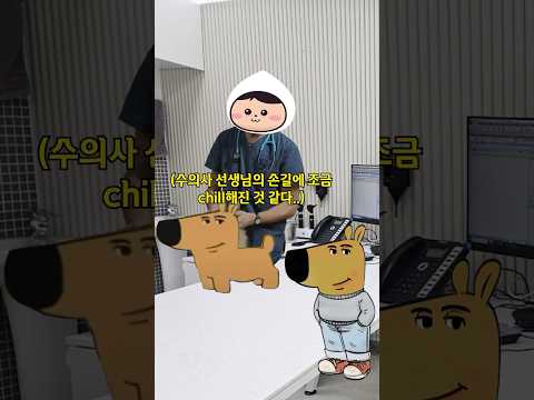 반려동물 공공진료센터에 간 칠가이(2) #chillguy #chillguymeme #chill #shorts