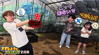 動画サムネイル