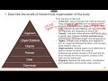 Human Anatomy and Physiology Concepts
