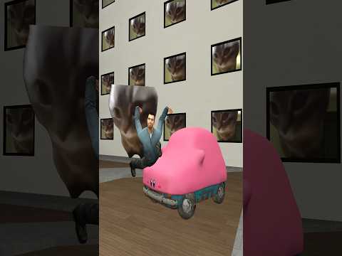 is that a chipi chipi kirby car?? #gmod #nextbots